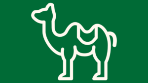 kurs odkryj arabski avatar
